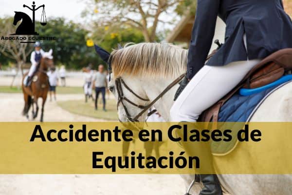 La Responsabilidad Derivada de los Daños Causados por los Animales La Responsabilidad Derivada de los Daños Causados por los Animales