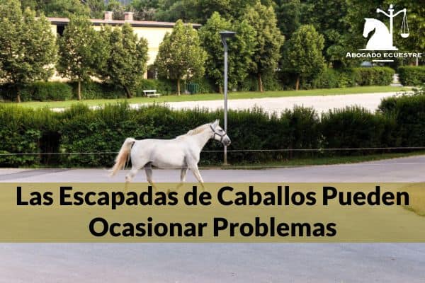 La Responsabilidad Derivada de los Daños Causados por los Animales La Responsabilidad Derivada de los Daños Causados por los Animales