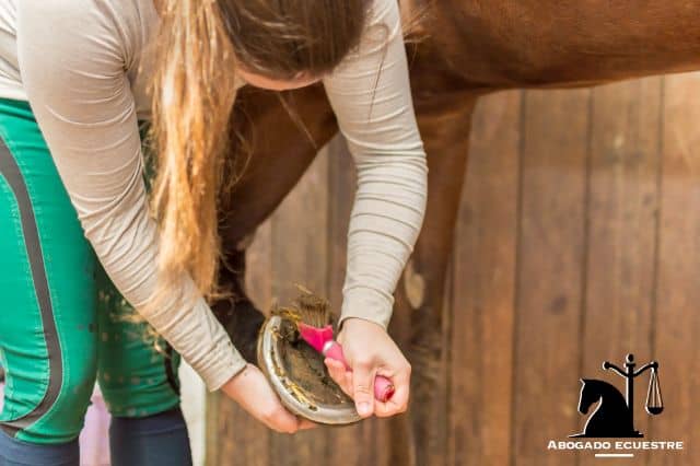 Coste de Mantenimiento De un caballo