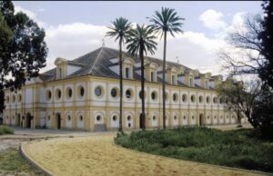 Inicio Curso de tecnificación jurídica en materia ecuestre 2026: formación clave para el sector del caballo