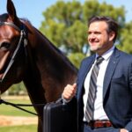 Abogado Ecuestre en Aranjuez