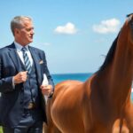 Abogado Ecuestre en Castell-Platja d’Aro