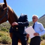 Abogado Ecuestre en Guía de Isora