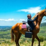 Abogado Ecuestre en Rinconada (La)